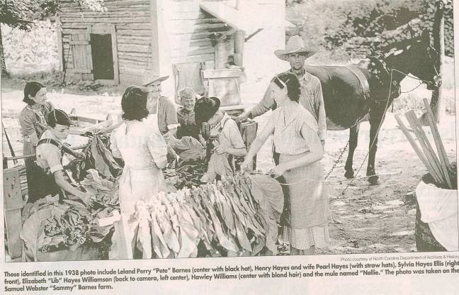 The_Barnes_Family_Tobacco_Farm_ca1938